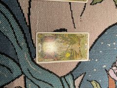 -雪灵魔法世界SHELLY’S TAROT(大良桂畔里店)