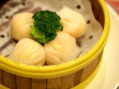 水晶鲜虾饺-香港新曜记茶餐厅(星耀城店)