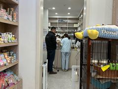 -四月宠物医院·猫专科·心脏专科·内科(转塘店)
