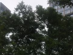 -方恒购物中心(望京小街店)