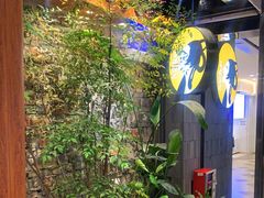 -茶理宜世(东方宝泰店)