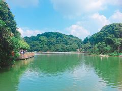 -广州市帽峰山景区