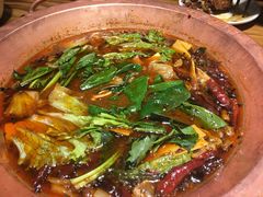 -成老灶火锅鸡(高东街店)