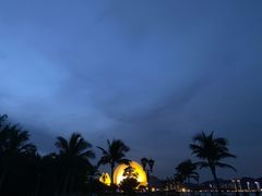 -野狸岛
