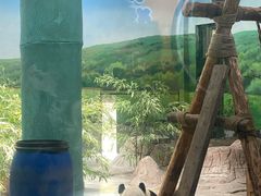 -临沂动植物园