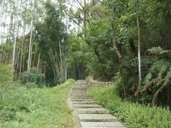 -黄埔油麻山森林公园