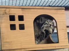 -青藏高原野生动物园