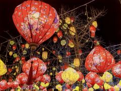 -龙湖星悦荟(颐和店)