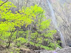 -野三坡百里峡景区