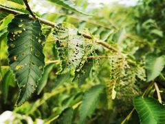 -北京西山国家森林公园