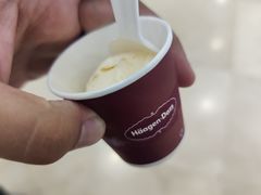 -哈根达斯(石家庄北国店)