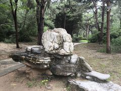 -元大都城垣遗址公园
