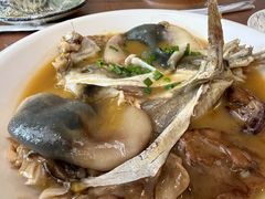 红烧河豚-9号小厨师(端平桥店)