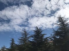 -丽江三义国际机场