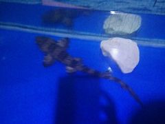 -水上乐园·欢乐世界