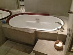 浴缸-上海柏悦酒店