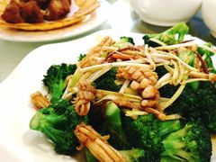 西兰花炒土鱿-金苑海鲜酒家(新港中路店)