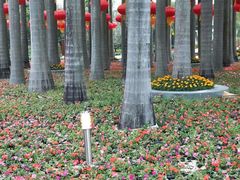 -深圳国际园林花卉博览园