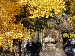 -北京石刻艺术博物馆(五塔寺)