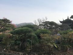 -西湖外事游船(花港观鱼码头)