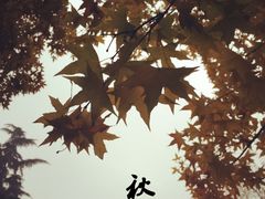 -山东大学(趵突泉校区)