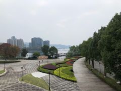 -几荷·恰似故人来(秀水广场店)
