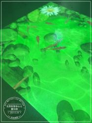 -北京科学中心儿童乐园