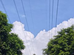 -小洲村