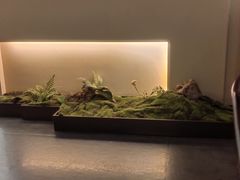 -巧庆楼·茶膳