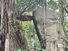 -乌山风景区