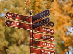 -灵谷景区