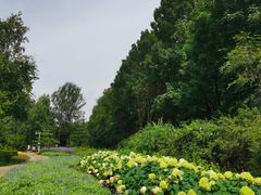-黑龙江省森林植物园