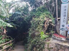 -海南铜鼓岭景区