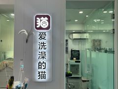 -爱洗澡的猫(望京店)