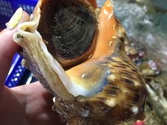 海螺-旺角小渔村(幸福中路店)