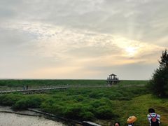 -北海金海湾红树林生态旅游区