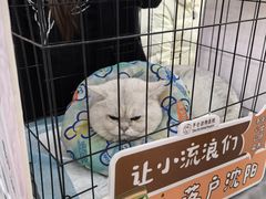 -万达广场(太原街店)