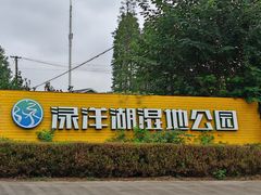 -渌洋湖湿地公园