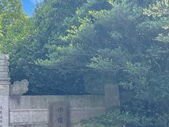 -普陀山慧济禅寺