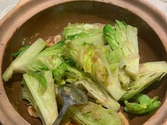 啫啫生菜煲-陶陶居酒家(海岸城店)