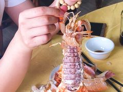 -蚝专家(北滘店)
