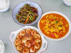 -田螺阿姨自营月嫂·育儿嫂(高新店)