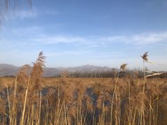 -野鸭湖国家湿地公园