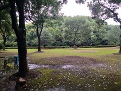 -新洲生态园