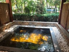 -盘锦红海温泉乐园