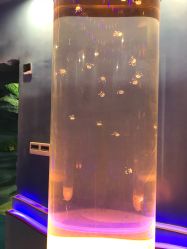 -酷嗒动物文化乐园(cutezoo西溪乐天城店)