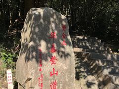 -紫金山山顶公园