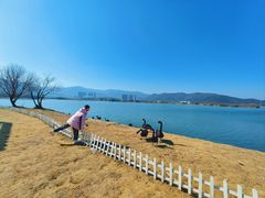 -长兴太湖图影湿地文化园