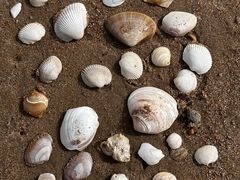 -南戴河国际娱乐中心