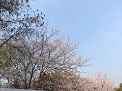 -堤角公园